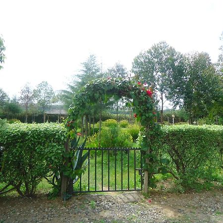 Triple Eden Resort - ไนวาชา ภายนอก รูปภาพ