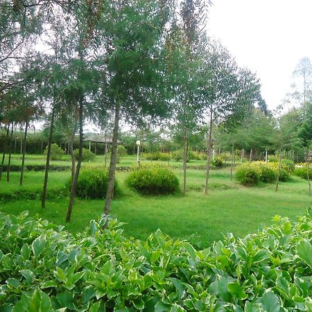Triple Eden Resort - ไนวาชา ภายนอก รูปภาพ