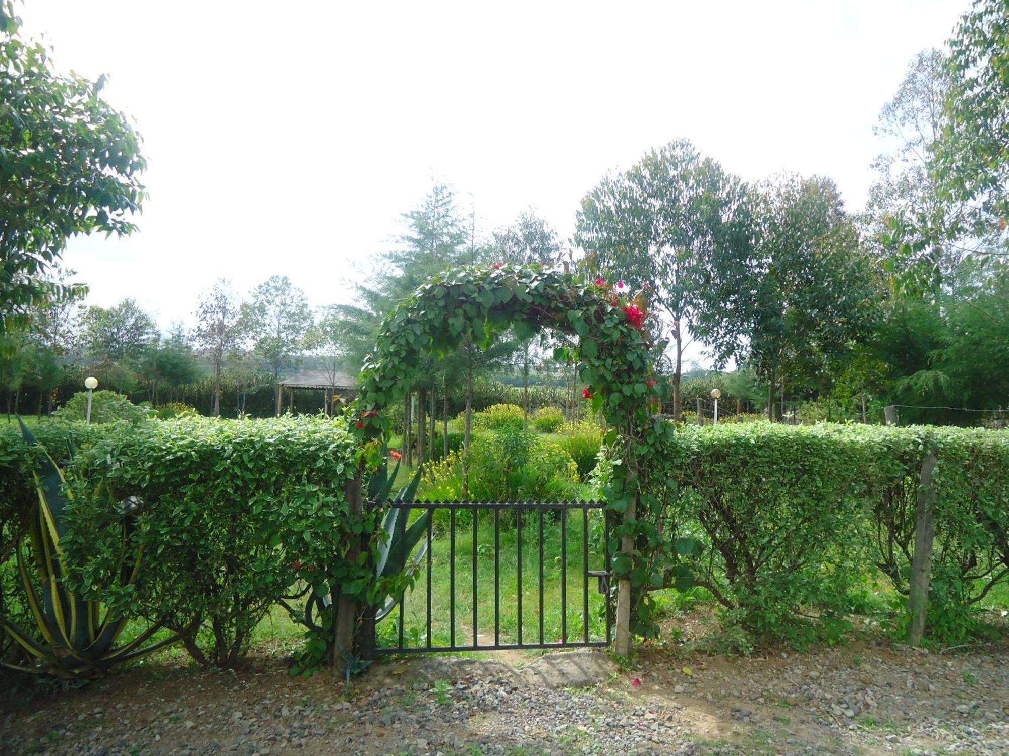 Triple Eden Resort - ไนวาชา ภายนอก รูปภาพ