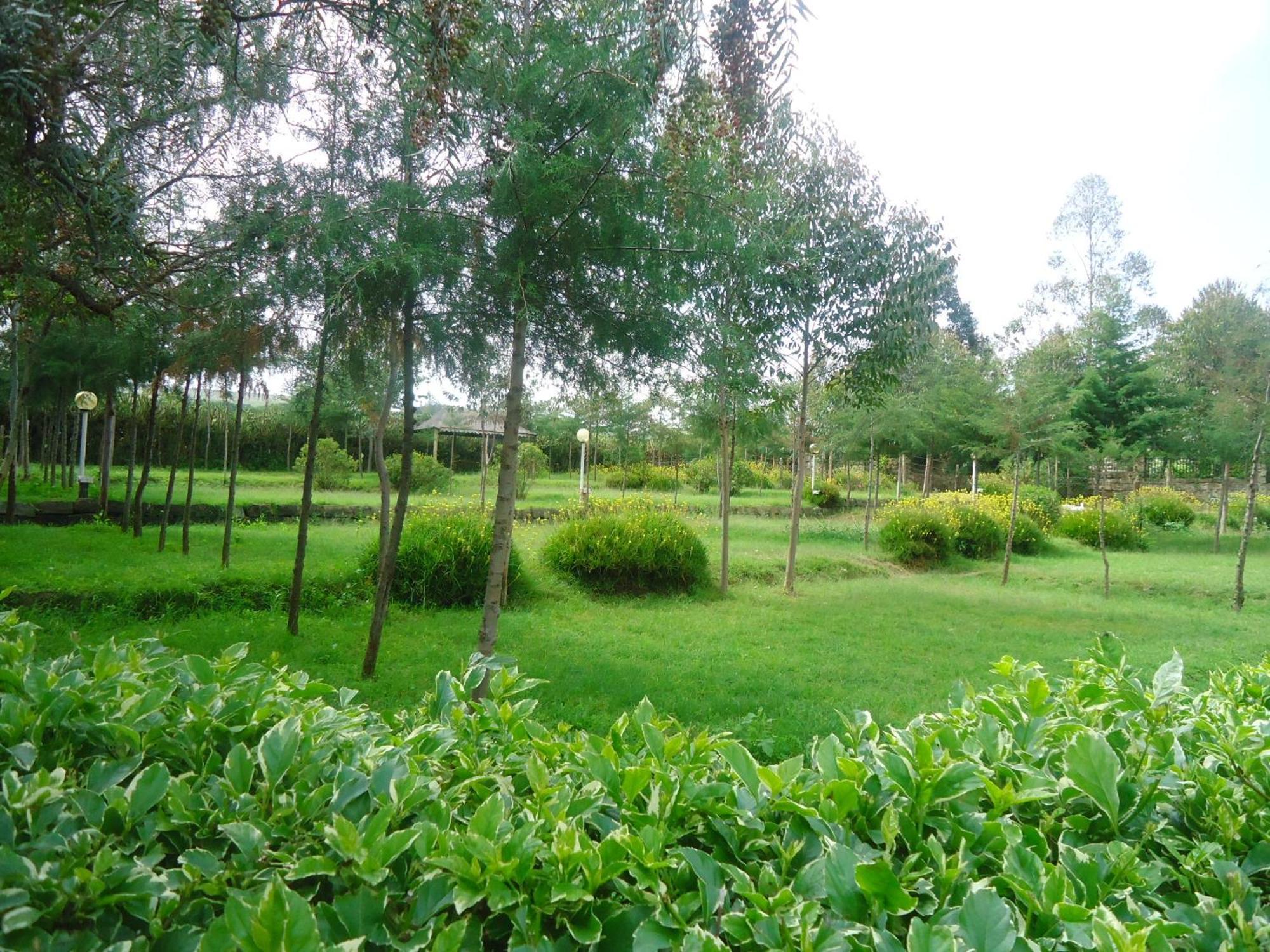Triple Eden Resort - ไนวาชา ภายนอก รูปภาพ